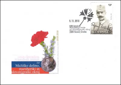 100 - LETNICA NARODNEGA SVETA ZA MEŽIŠKO DOLINO  